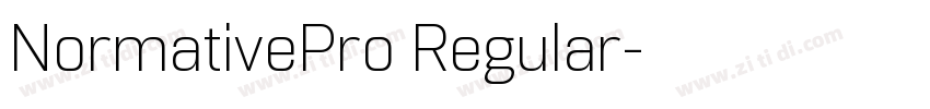 NormativePro Regular字体转换